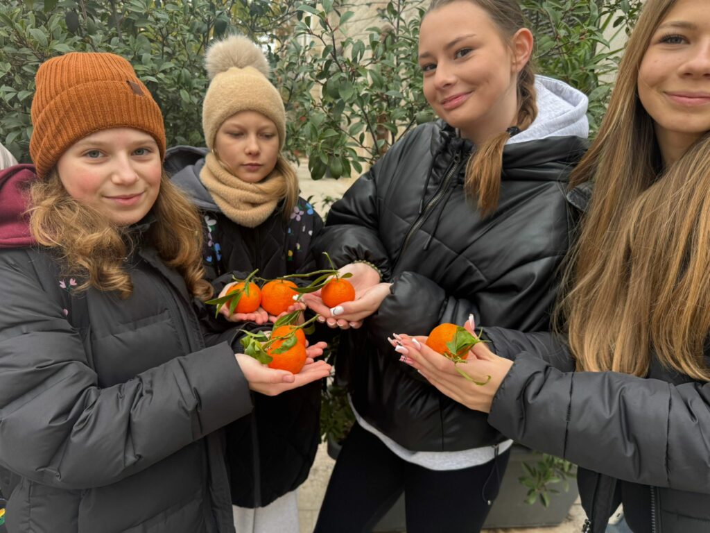 zdjęcie whatsapp 2025 11 29 o 16.31.10 7d9e7a05