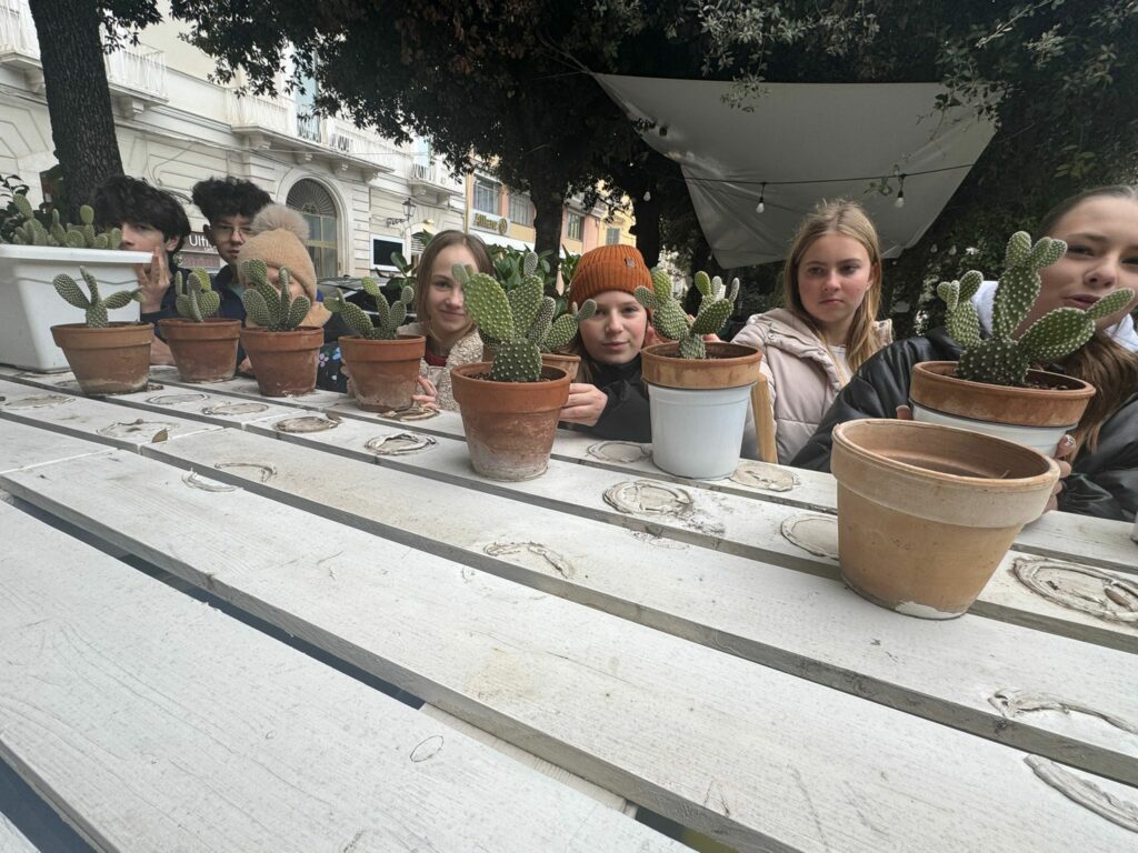 zdjęcie whatsapp 2025 11 29 o 16.31.13 00bfcb8f